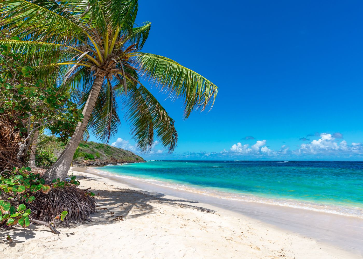 top6 plages guadeloupe2